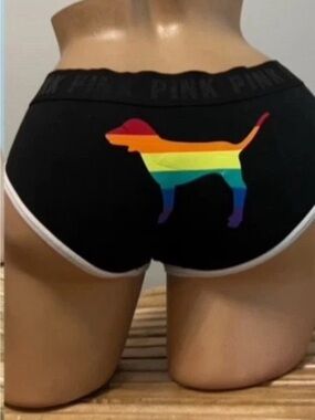 PINK Victoria’s Secret Pride LGBTQ Puppy Logo Hipster Panties NWOT SZ.M